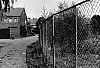 Bestandsnaam=F14360.jpg
Bestandsgrootte=251KiB
Afmetingen = 640x436
Datum toegevoegd = 09 dec 2014 F14360.jpg