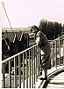 Bestandsnaam=F04434_Drukkerij_Meijer.jpg
Bestandsgrootte=223KiB
Afmetingen = 635x860
Datum toegevoegd = 21 jun 2014 F04434_Drukkerij_Meijer.jpg
