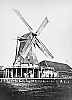 W08036c_15_1.jpg