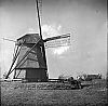 molen.jpg